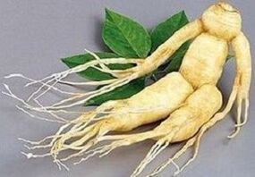 Ginseng root for making infusion